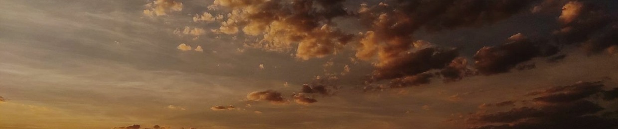 SummerNight
