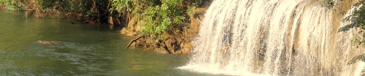 PalArt