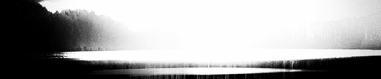FullVOID
