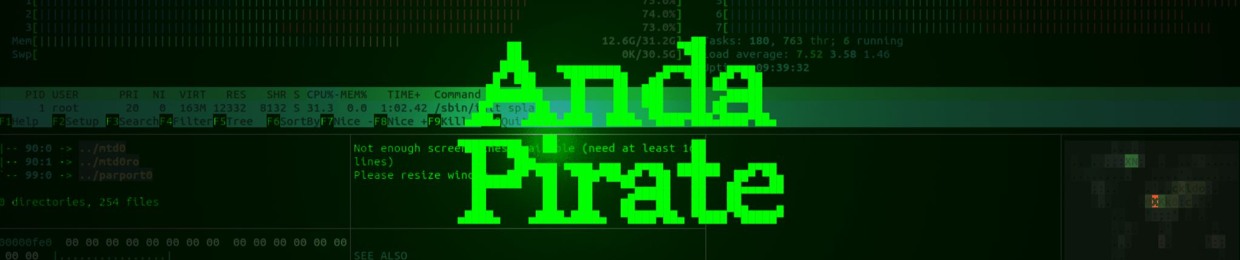 Anda Pirate