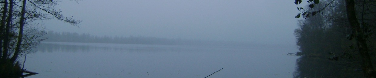 All Styles Male Vocal Tracks Remixes Music 2021