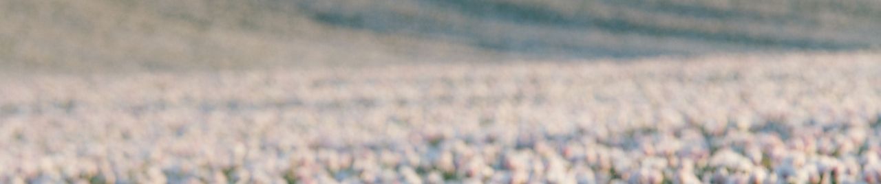 SoundCloud banner for @bawling
