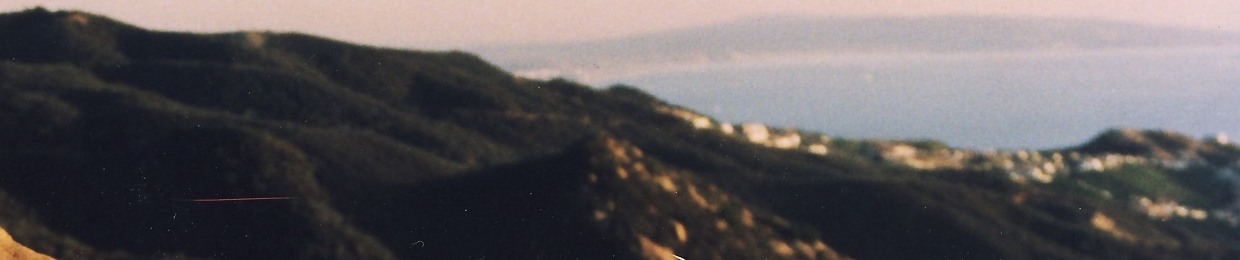 Daniel Remler