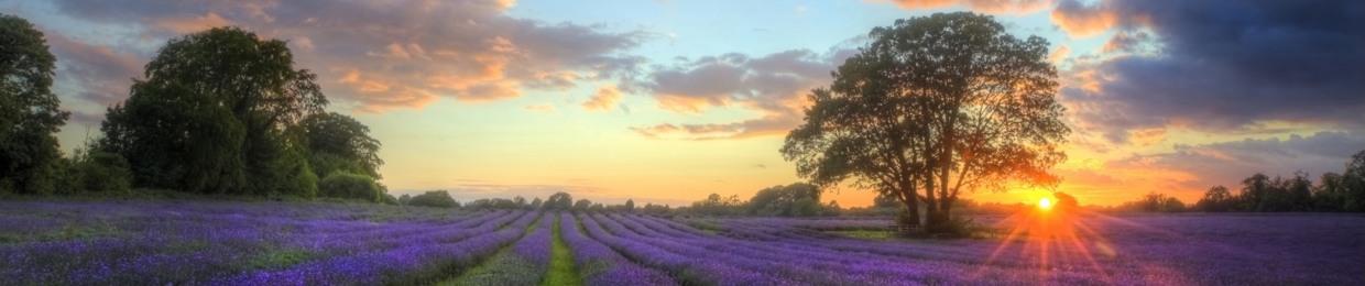 Aleksandra Beata Kot