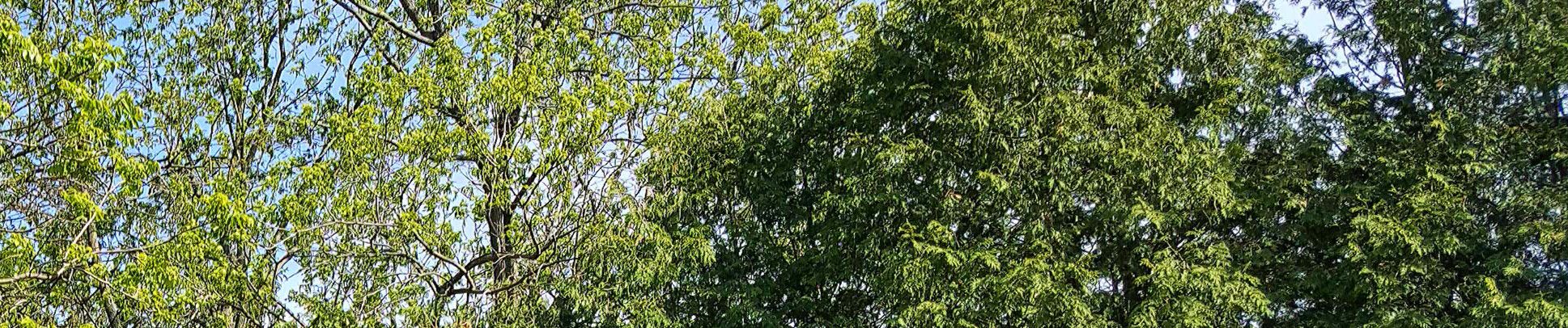 SoundCloud banner for @proper