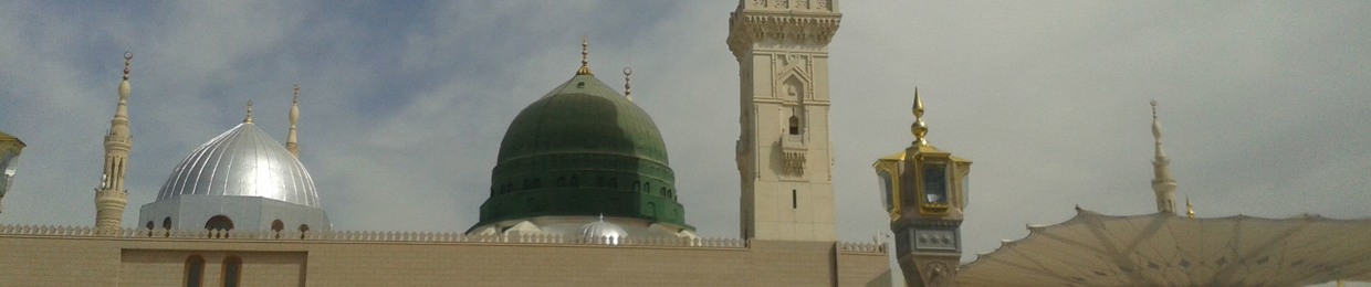 Mohamed AbdAlla 8