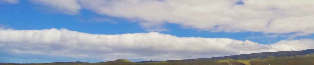 齐乐洋 in da house