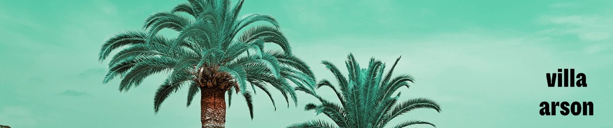 Villa Arson