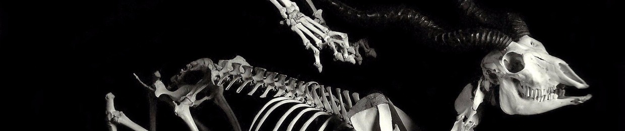 Thomasreprenddestrucs