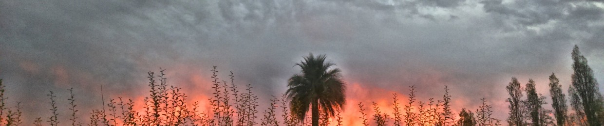 Franco Vergara Arancibia