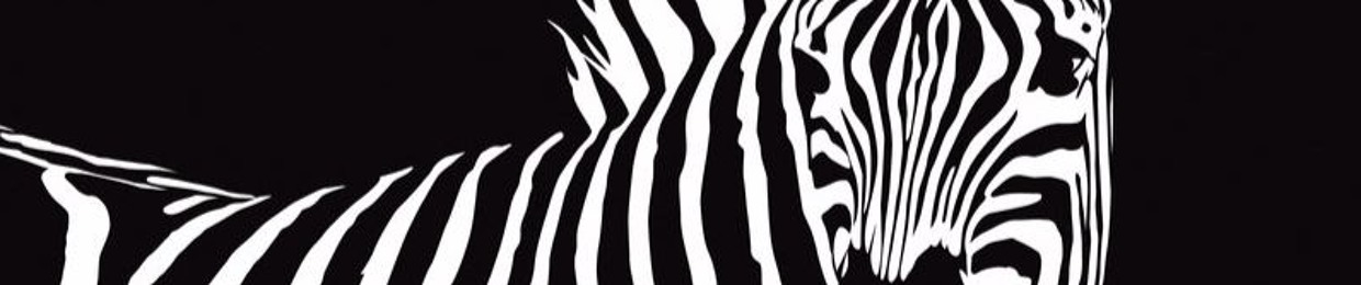 Dandy Zebra