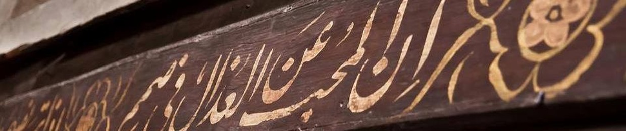Doaa Zayed Mahmoud