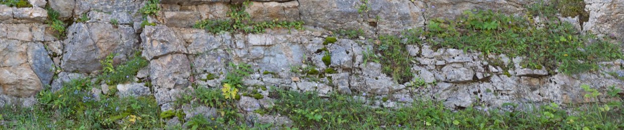 Vulporium