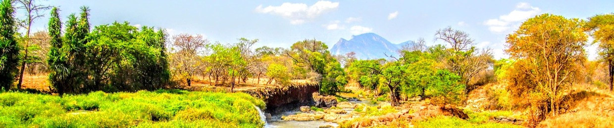 ojedavidea