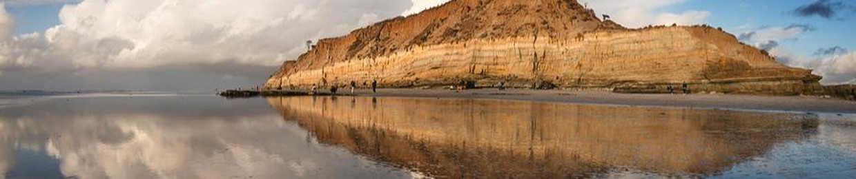 Monica Hayes (Harmonica)