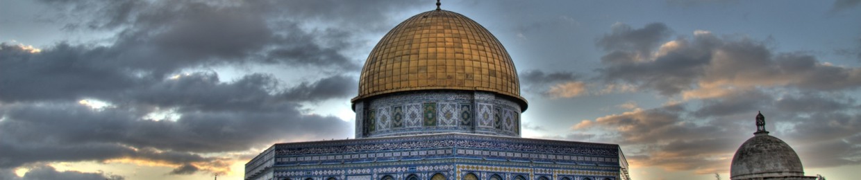Mohammed I shanab