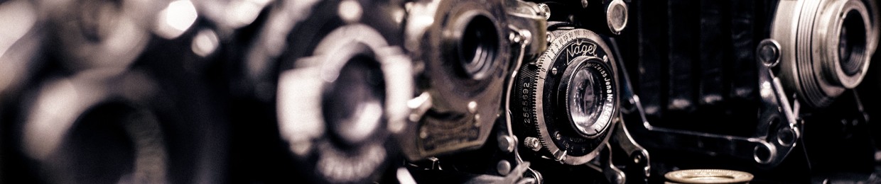 Cucos Leonard (duriangmo)