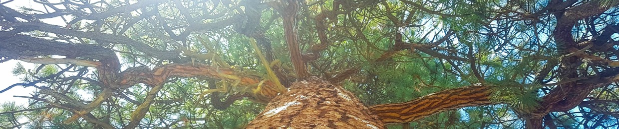 tanner_tha_natureguide