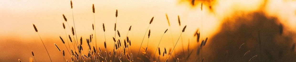 Angel Chavez Composer