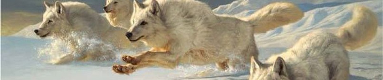 EL LOBO