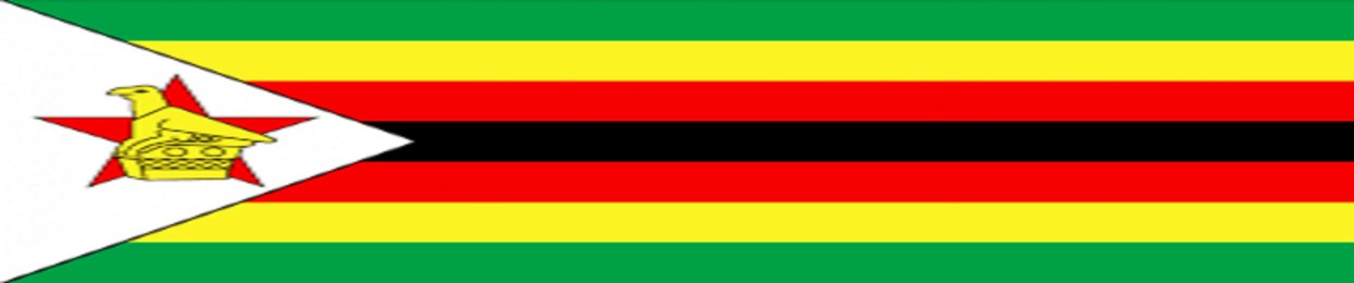 Zimbabwe: Hits