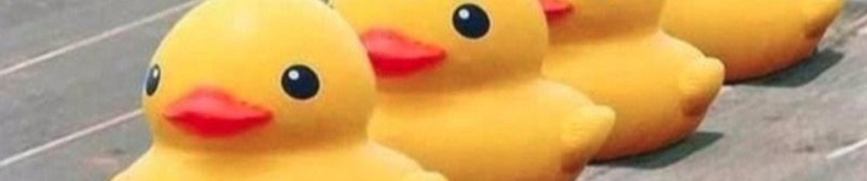 Ducking