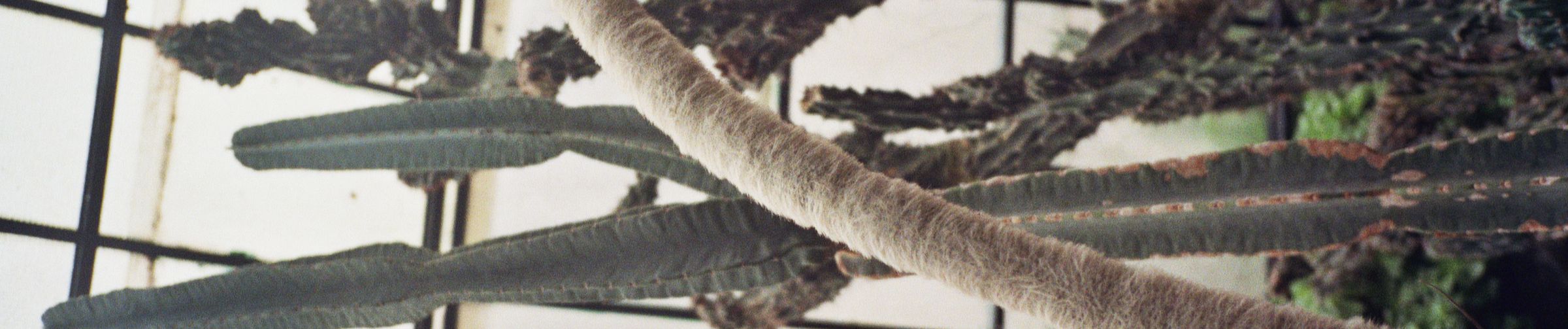 SoundCloud banner for @stem