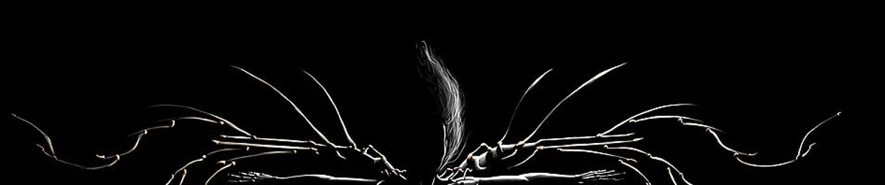 glimpse
