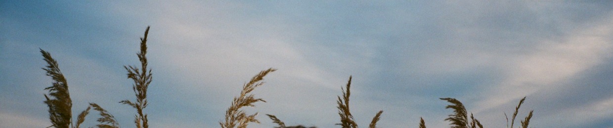Thea & The Wild