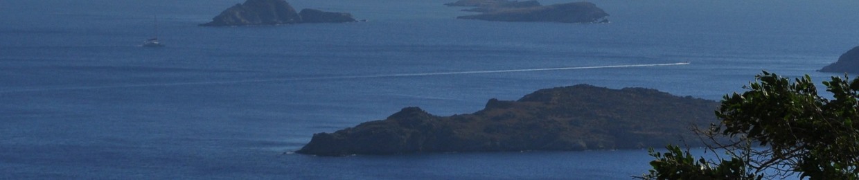 Interni Bar Restaurant