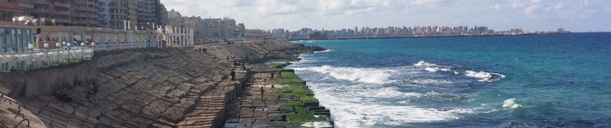 Ahmed Fathy 40