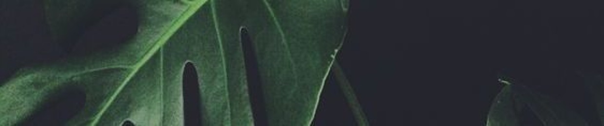 diclearikan
