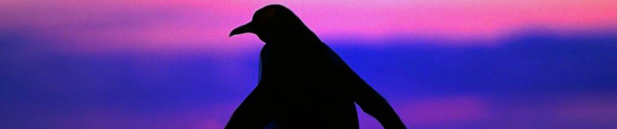 Stream PINK PENGUIN music | Listen to songs, albums, playlists for free on  SoundCloud