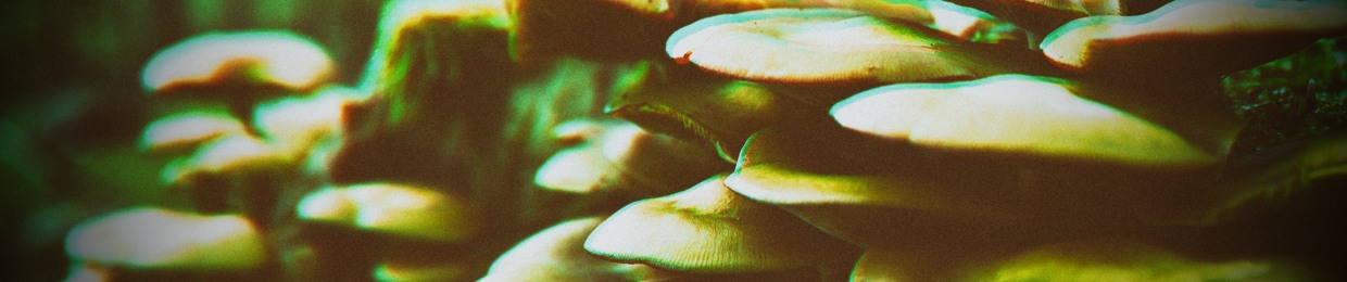 Side FX