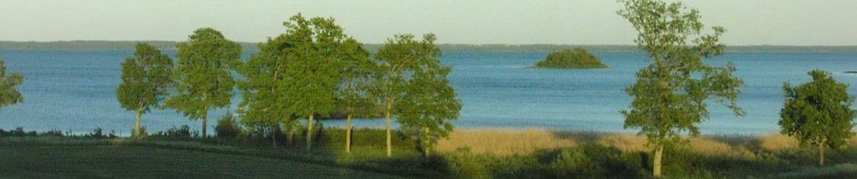 Oskarr_G