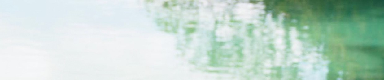 CANVAS_