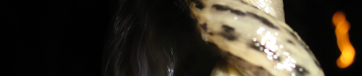 a multitude of everything