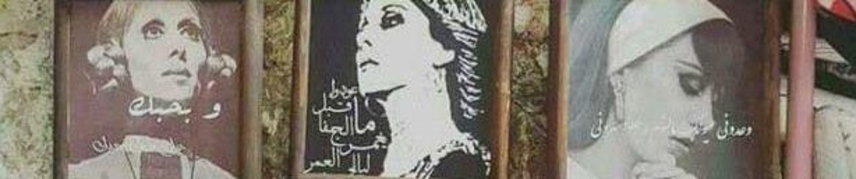 ahmed samir el-shazly