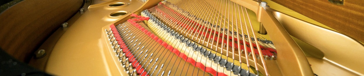Jeff Williams Music