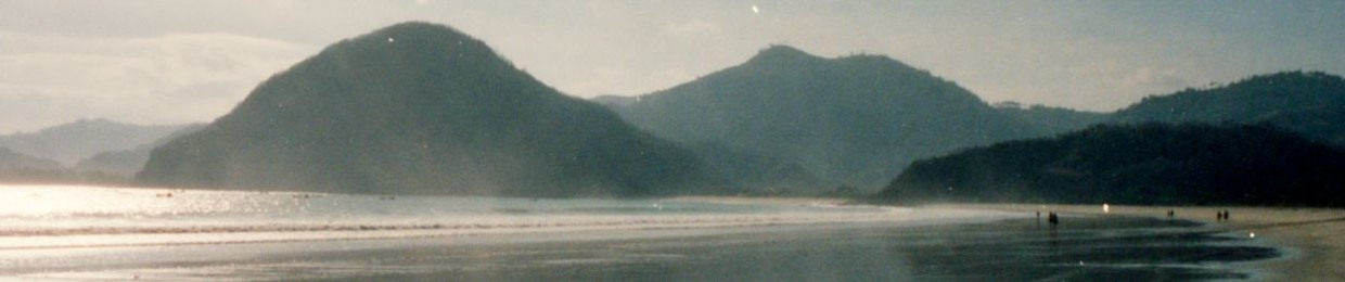 lafichte