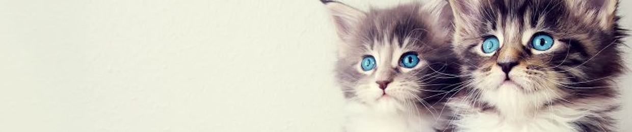 Fluffy