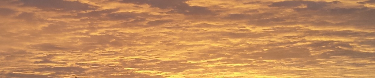 Story Time With Miss Sara