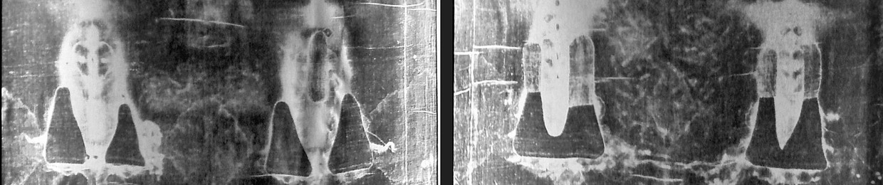 Scott Nichols-Collier