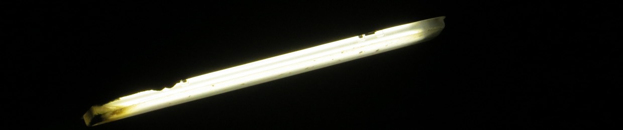 Lumpazivagabundus