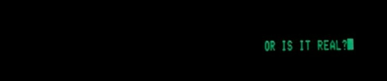 Zawk