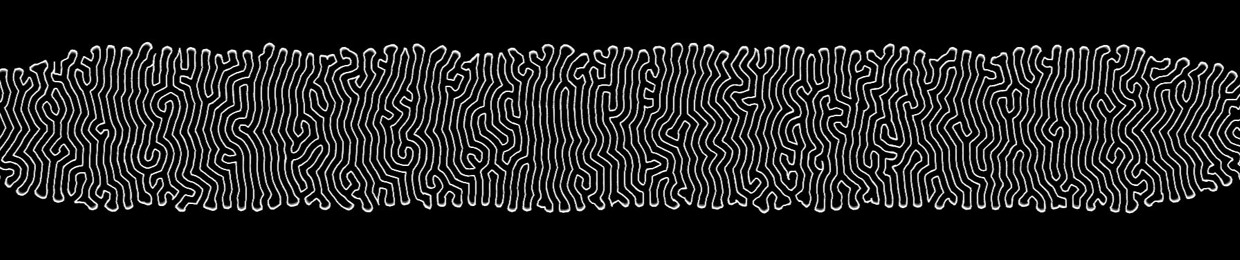 Cosmic Entropy