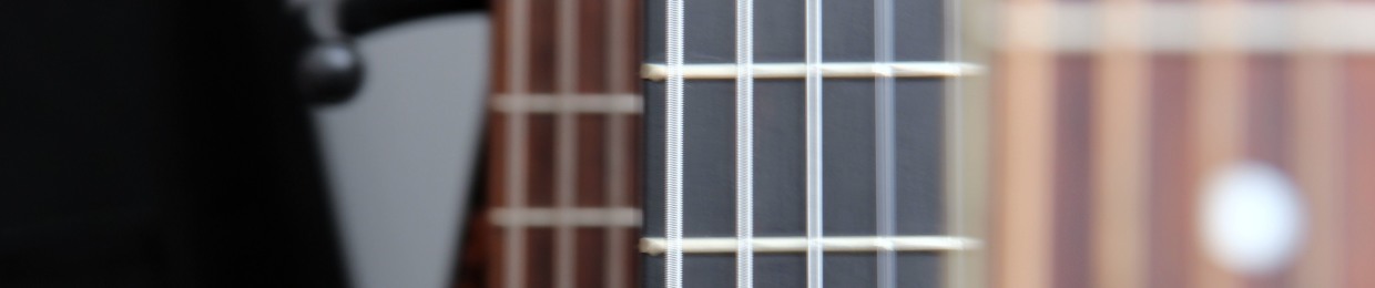 Julio Cesar Eligio Guitar