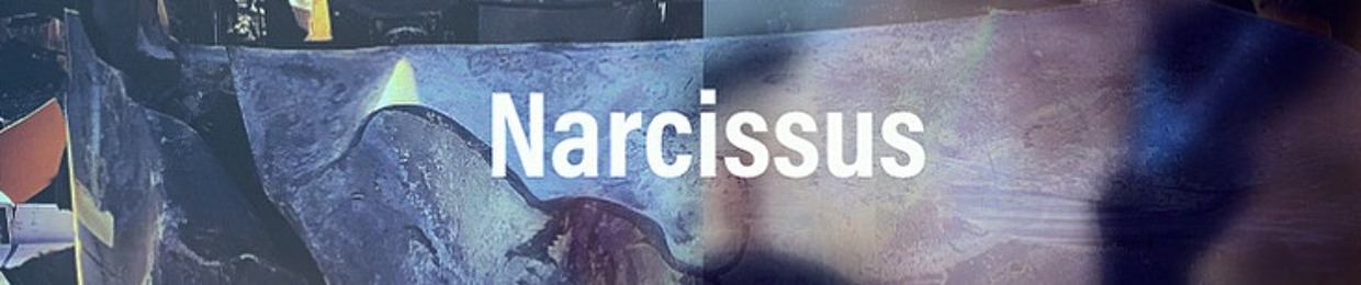 Narcissus