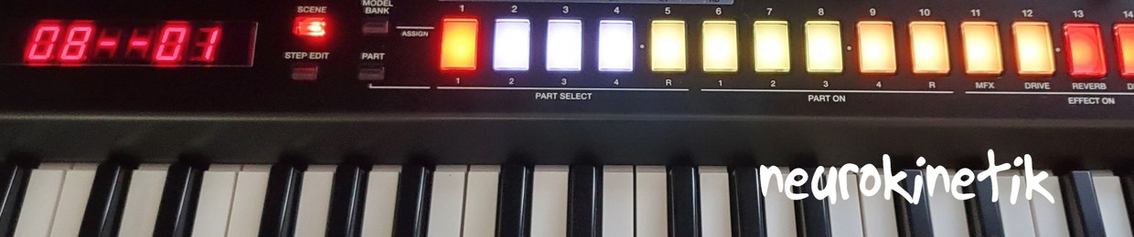 neurokinetik