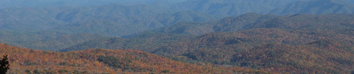 Contemporary Perception